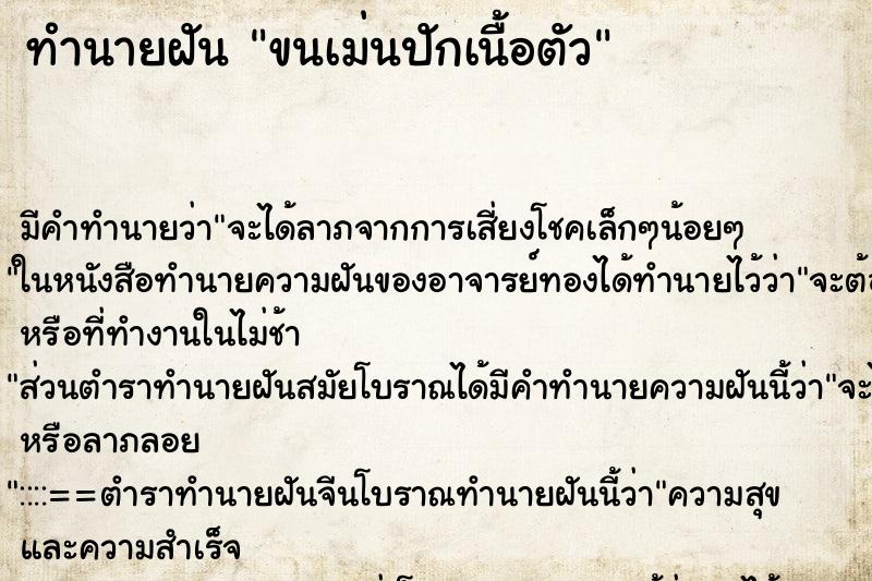 ทำนายฝัน ขนเม่นปักเนื้อตัว ทำนายฝัน ขนเม่นปักเนื้อตัว