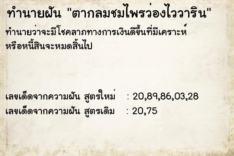 ทำนายฝันตากลมชมไพรว่องไววาริน ทำนายฝันทำนายฝันตากลมชมไพรว่องไววาริน