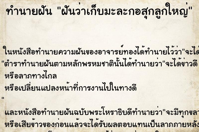 ทำนายฝันทำนายฝันฝันว่าเก็บมะละกอสุกลูกใหญ่