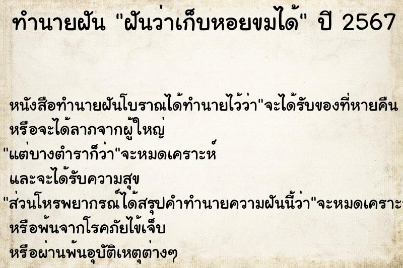 ทำนายฝันฝันว่าเก็บหอยขมได้ ทำนายฝันทำนายฝันฝันว่าเก็บหอยขมได้
