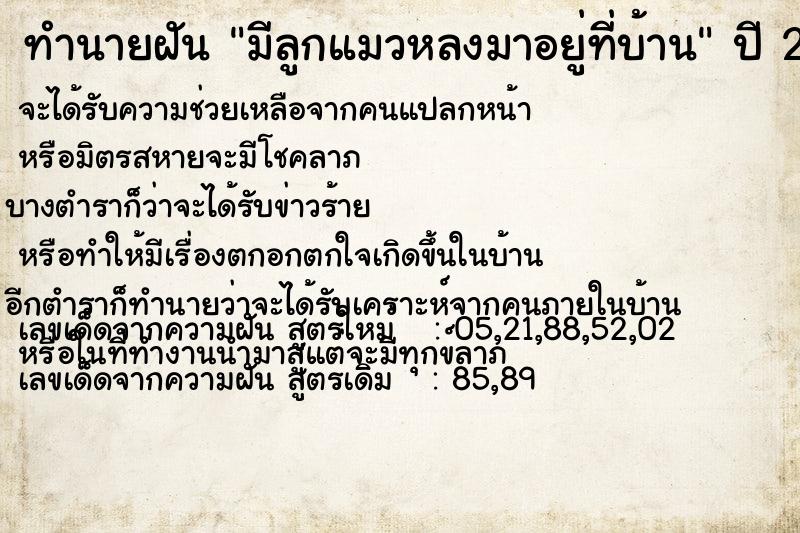 ทำนายฝัน มีลูกแมวหลงมาอยู่ที่บ้าน ทำนายฝัน มีลูกแมวหลงมาอยู่ที่บ้าน