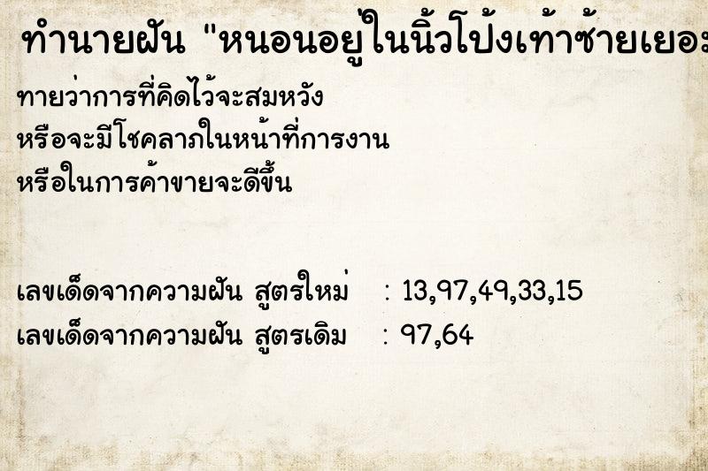 ทำนายฝันหนอนอยู่ในนิ้วโป้งเท้าซ้ายเยอะแยะ ทำนายฝันทำนายฝันหนอนอยู่ในนิ้วโป้งเท้าซ้ายเยอะแยะ