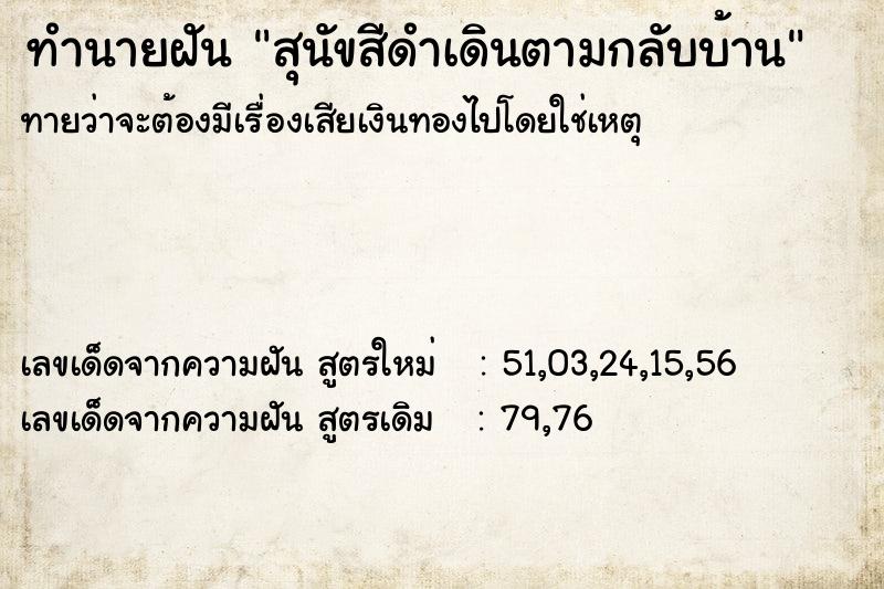 ทำนายฝันทำนายฝันสุนัขสีดำเดินตามกลับบ้าน