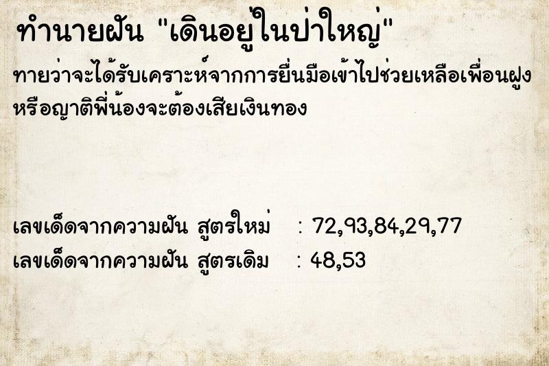 ทำนายฝัน เดินอยู่ในป่าใหญ่