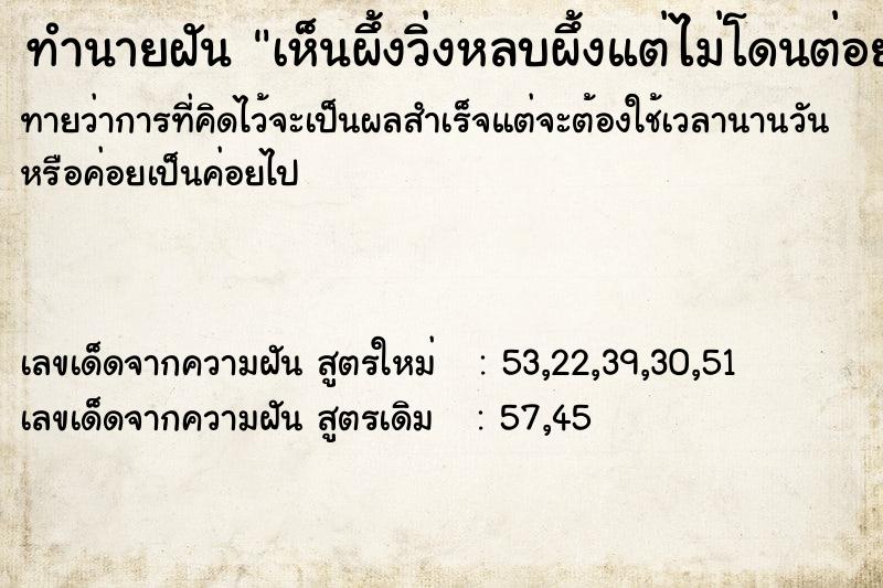 ทำนายฝันเห็นผึ้งวิ่งหลบผึ้งแต่ไม่โดนต่อย ทำนายฝันทำนายฝันเห็นผึ้งวิ่งหลบผึ้งแต่ไม่โดนต่อย