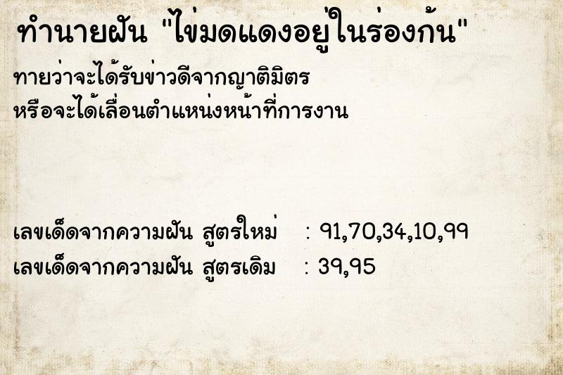 ทำนายฝันไข่มดแดงอยู่ในร่องก้น ทำนายฝันทำนายฝันไข่มดแดงอยู่ในร่องก้น