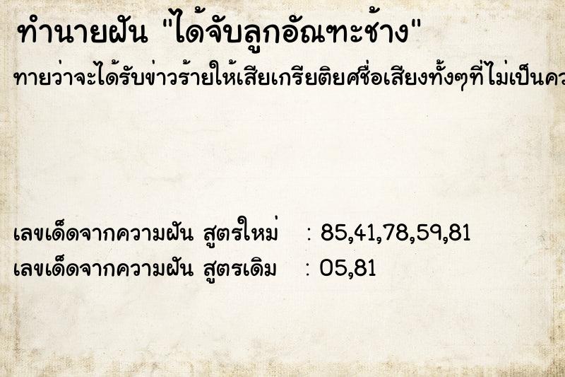 ทำนายฝันทำนายฝันได้จับลูกอัณฑะช้าง