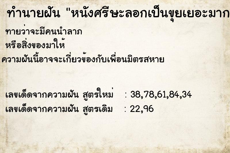 ทำนายฝันทำนายฝันหนังศรีษะลอกเป็นขุยเยอะมากน่าเกลียดมาก