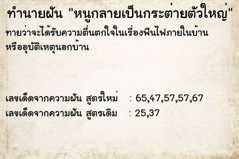 ทำนายฝันทำนายฝันหนูกลายเป็นกระต่ายตัวใหญ่