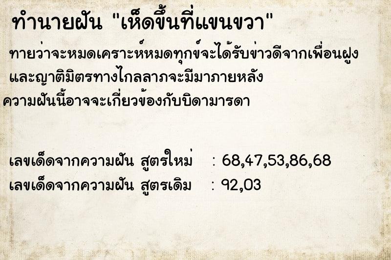 ทำนายฝันเห็ดขึ้นที่แขนขวา ทำนายฝันทำนายฝันเห็ดขึ้นที่แขนขวา