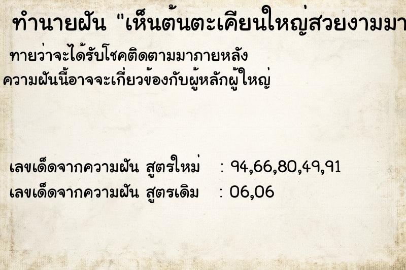 ทำนายฝันเห็นต้นตะเคียนใหญ่สวยงามมาก ทำนายฝันทำนายฝันเห็นต้นตะเคียนใหญ่สวยงามมาก