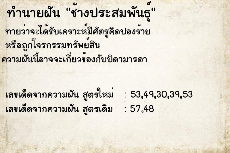 ทำนายฝันช้างประสมพันธุ์ ทำนายฝันทำนายฝันช้างประสมพันธุ์