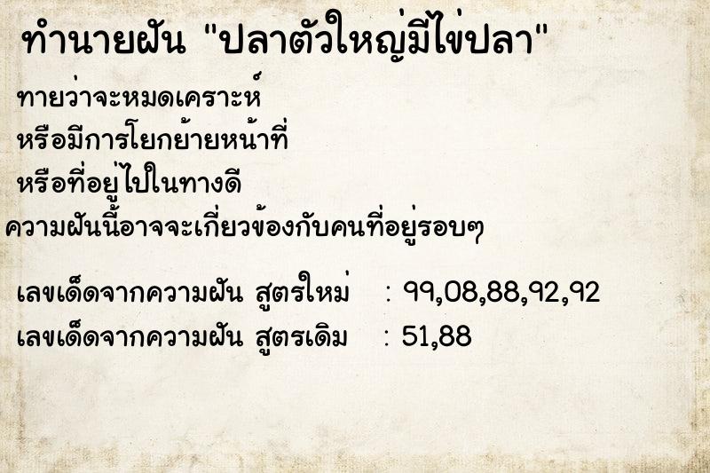 ทำนายฝัน ปลาตัวใหญ่มีไข่ปลา ทำนายฝัน ปลาตัวใหญ่มีไข่ปลา