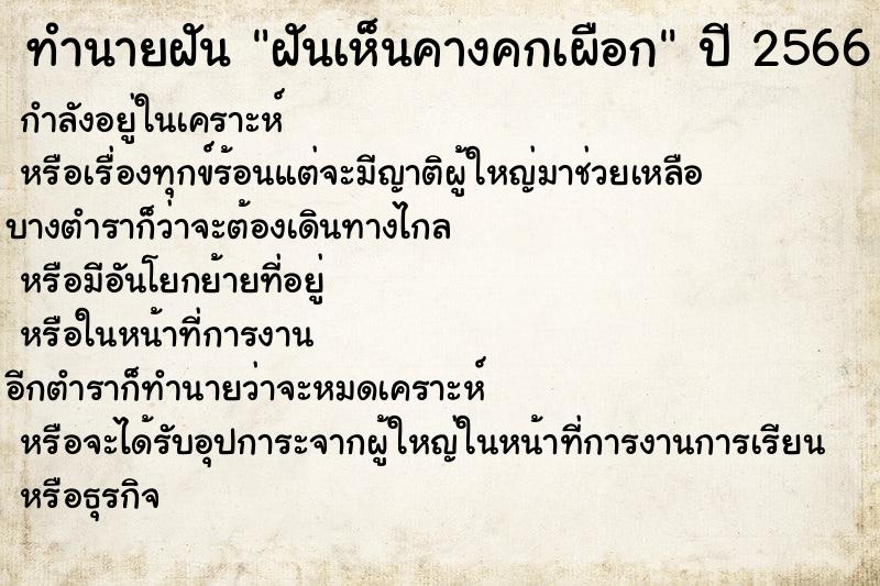 ทำนายฝันฝันเห็นคางคกเผือก ทำนายฝันทำนายฝันฝันเห็นคางคกเผือก