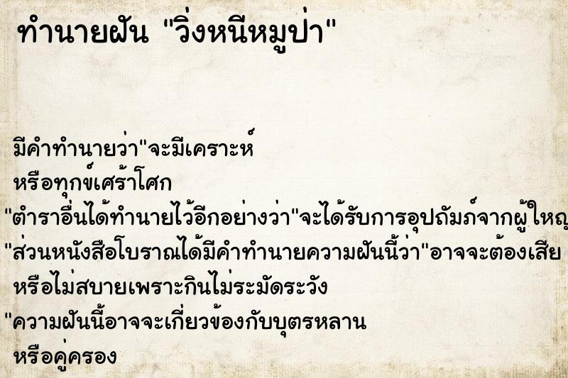 ทำนายฝัน วิ่งหนีหมูป่า ทำนายฝัน วิ่งหนีหมูป่า