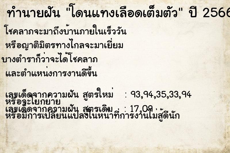 ทำนายฝัน โดนแทงเลือดเต็มตัว ทำนายฝัน โดนแทงเลือดเต็มตัว