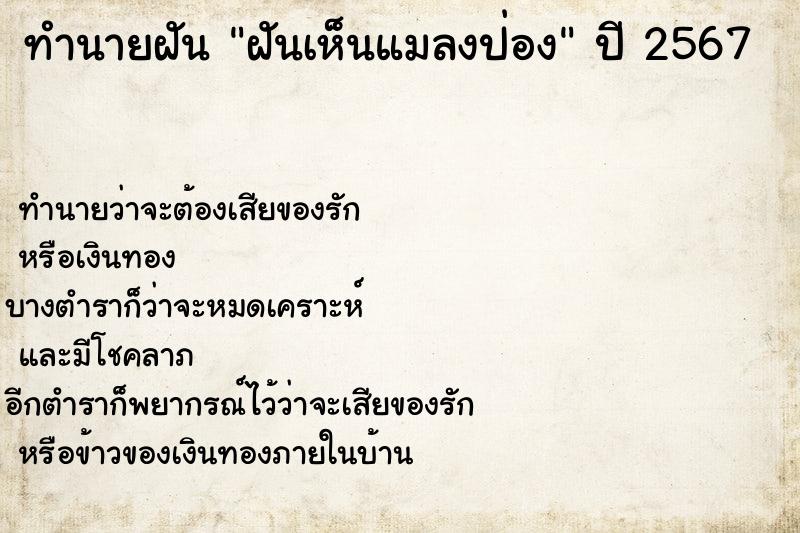 ทำนายฝันฝันเห็นแมลงป่อง ทำนายฝันทำนายฝันฝันเห็นแมลงป่อง