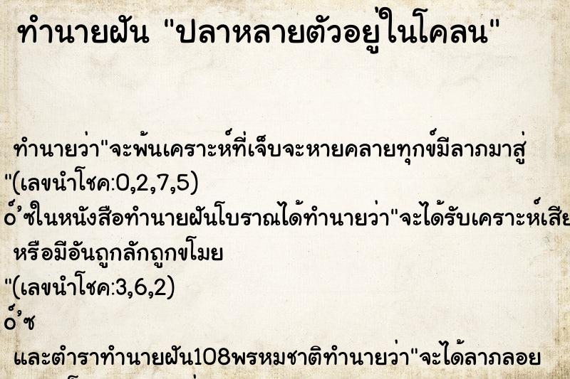 ทำนายฝัน ปลาหลายตัวอยู่ในโคลน ทำนายฝัน ปลาหลายตัวอยู่ในโคลน