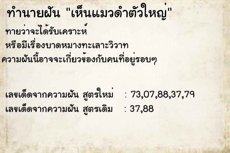 ทำนายฝันเห็นแมวดำตัวใหญ่ ทำนายฝันทำนายฝันเห็นแมวดำตัวใหญ่