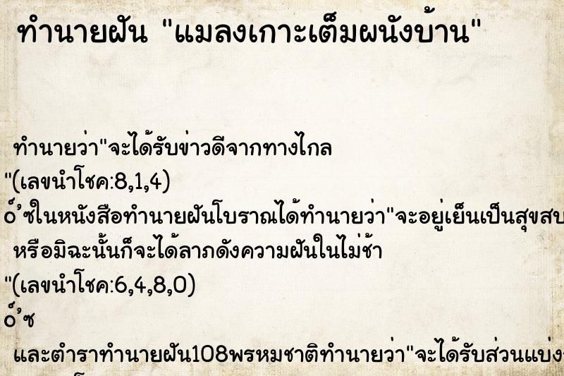 ทำนายฝัน แมลงเกาะเต็มผนังบ้าน ทำนายฝัน แมลงเกาะเต็มผนังบ้าน