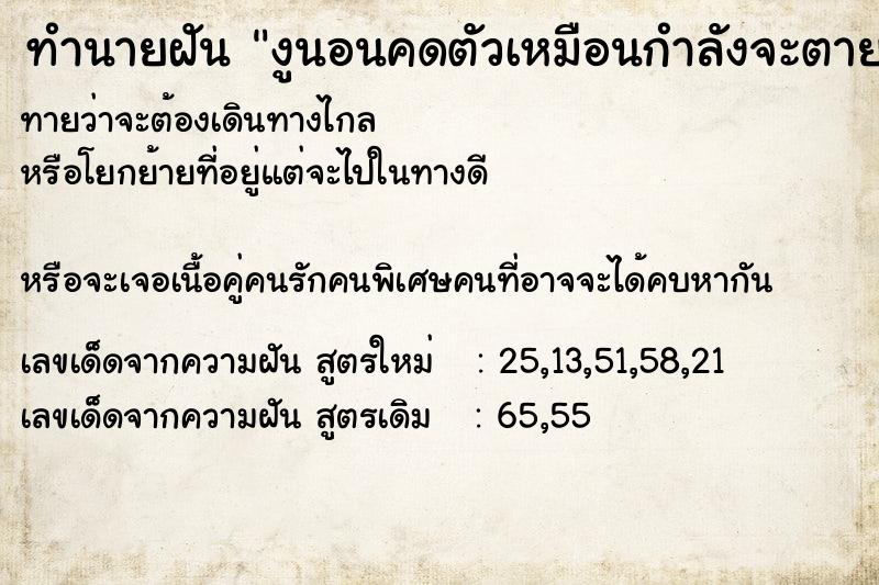 ทำนายฝันงูนอนคดตัวเหมือนกำลังจะตาย ทำนายฝันทำนายฝันงูนอนคดตัวเหมือนกำลังจะตาย