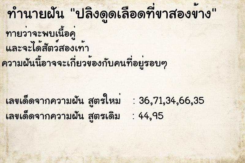 ทำนายฝันปลิงดูดเลือดที่ขาสองข้าง ทำนายฝันทำนายฝันปลิงดูดเลือดที่ขาสองข้าง