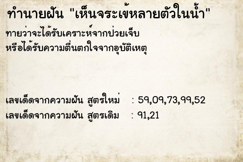 ทำนายฝันทำนายฝันเห็นจระเข้หลายตัวในน้ำ
