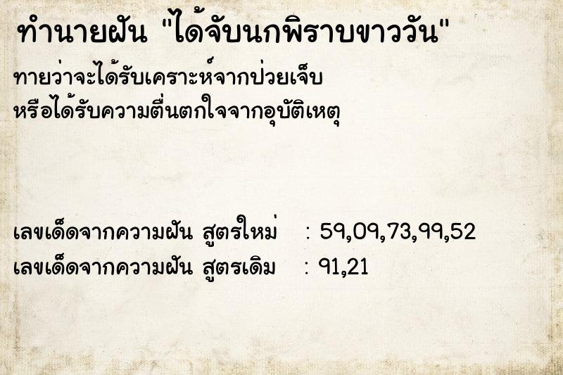 ทำนายฝันทำนายฝันได้จับนกพิราบขาววัน