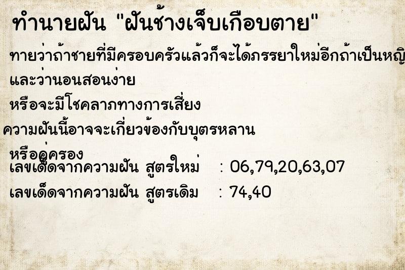 ทำนายฝัน ฝันช้างเจ็บเกือบตาย ทำนายฝัน ฝันช้างเจ็บเกือบตาย