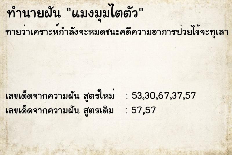 ทำนายฝันทำนายฝันแมงมุมไตตัว