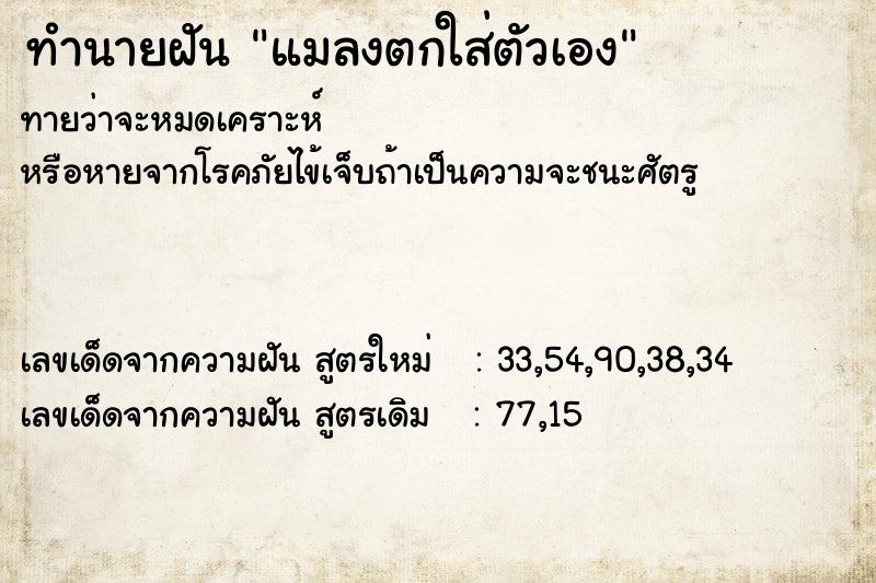 ทำนายฝันทำนายฝันแมลงตกใส่ตัวเอง