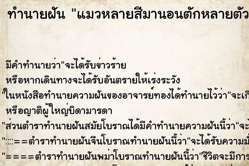 ทำนายฝัน แมวหลายสีมานอนตักหลายตัว ทำนายฝัน แมวหลายสีมานอนตักหลายตัว