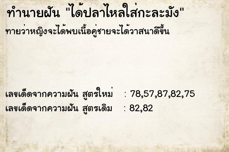 ทำนายฝันได้ปลาไหลใส่กะละมัง ทำนายฝันทำนายฝันได้ปลาไหลใส่กะละมัง