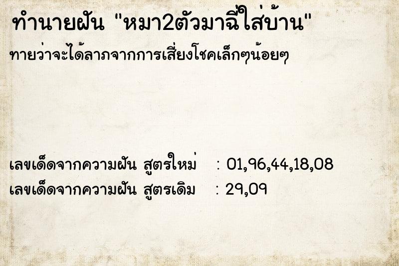 ทำนายฝันหมา2ตัวมาฉี่ใส่บ้าน ทำนายฝันทำนายฝันหมา2ตัวมาฉี่ใส่บ้าน