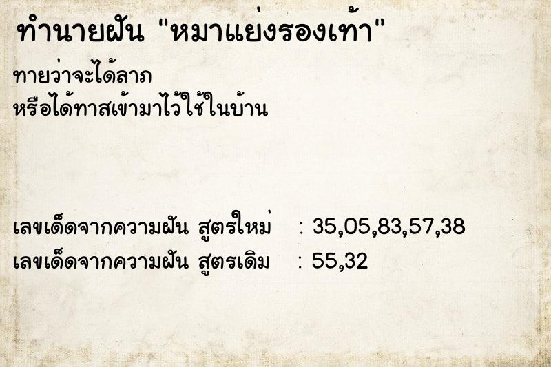ทำนายฝันหมาแย่งรองเท้า ทำนายฝันทำนายฝันหมาแย่งรองเท้า