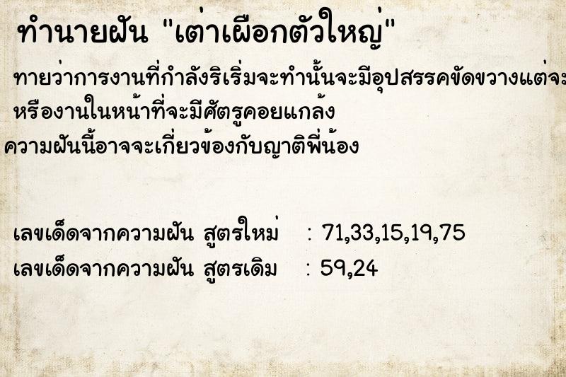 ทำนายฝัน เต่าเผือกตัวใหญ่