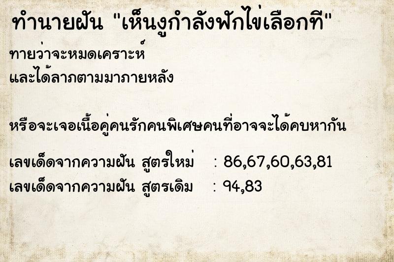 ทำนายฝันทำนายฝันเห็นงูกำลังฟักไข่เลือกที