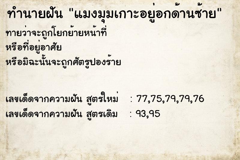 ทำนายฝันแมงมุมเกาะอยู่อกด้านซ้าย ทำนายฝันทำนายฝันแมงมุมเกาะอยู่อกด้านซ้าย