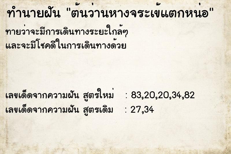ทำนายฝันต้นว่านหางจระเข้แตกหน่อ ทำนายฝันทำนายฝันต้นว่านหางจระเข้แตกหน่อ