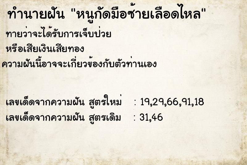 ทำนายฝัน หนูกัดมือซ้ายเลือดไหล ทำนายฝัน หนูกัดมือซ้ายเลือดไหล