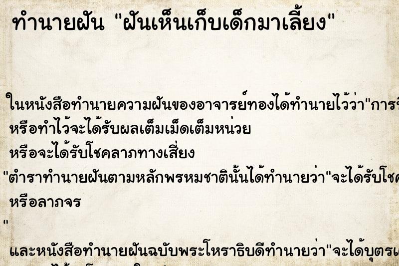 ทำนายฝันฝันเห็นเก็บเด็กมาเลี้ยง ทำนายฝันทำนายฝันฝันเห็นเก็บเด็กมาเลี้ยง