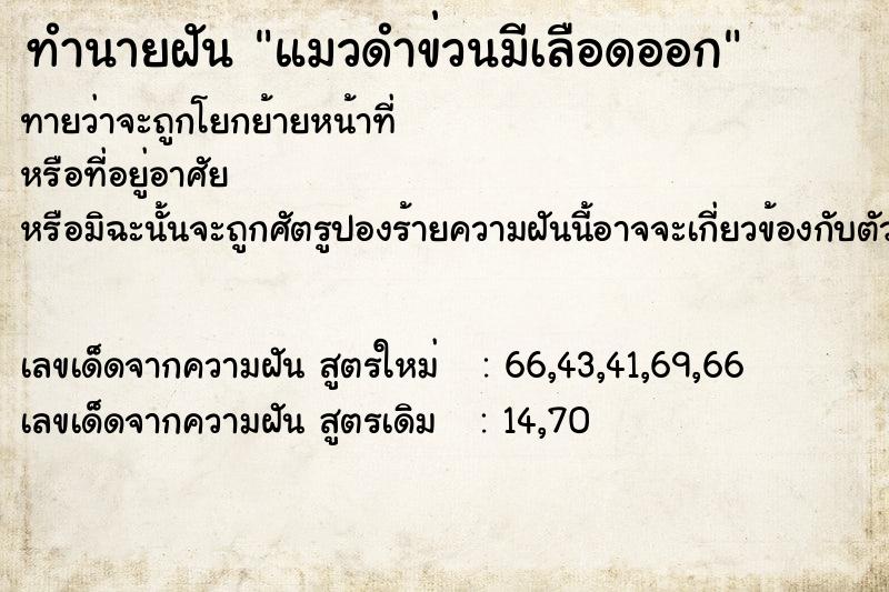 ทำนายฝันทำนายฝันแมวดำข่วนมีเลือดออก