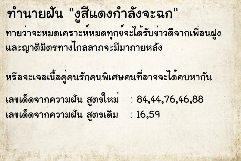 ทำนายฝันงูสีแดงกำลังจะฉก ทำนายฝันทำนายฝันงูสีแดงกำลังจะฉก