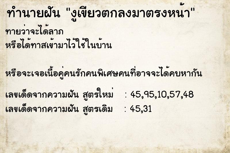 ทำนายฝันงูเขียวตกลงมาตรงหน้า ทำนายฝันทำนายฝันงูเขียวตกลงมาตรงหน้า