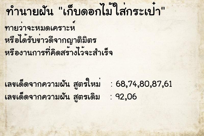 ทำนายฝันเก็บดอกไม้ใส่กระเป๋า ทำนายฝันทำนายฝันเก็บดอกไม้ใส่กระเป๋า