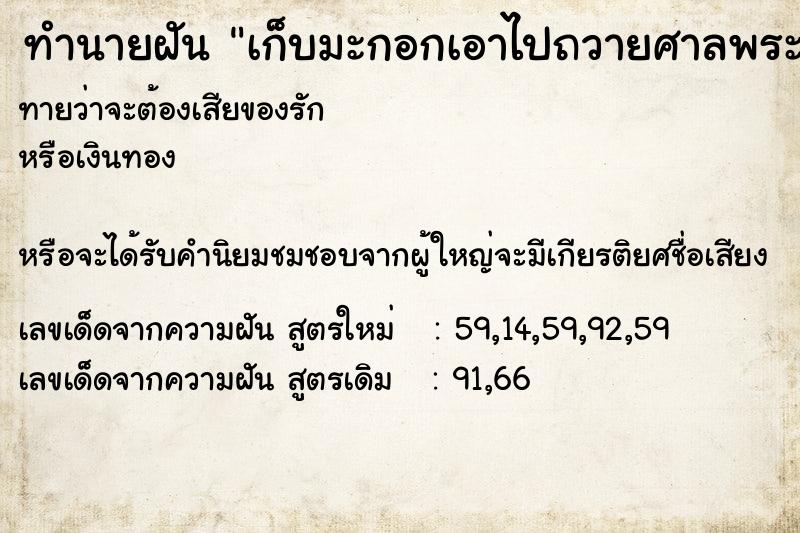 ทำนายฝันเก็บมะกอกเอาไปถวายศาลพระภูมิ ทำนายฝันทำนายฝันเก็บมะกอกเอาไปถวายศาลพระภูมิ