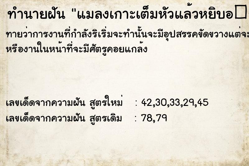 ทำนายฝันแมลงเกาะเต็มหัวแล้วหยิบอ�¸ ทำนายฝันทำนายฝันแมลงเกาะเต็มหัวแล้วหยิบอ�¸