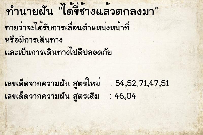 ทำนายฝันได้ขี่ช้างแล้วตกลงมา ทำนายฝันทำนายฝันได้ขี่ช้างแล้วตกลงมา