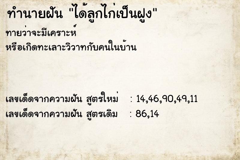 ทำนายฝัน ได้ลูกไก่เป็นฝูง ทำนายฝัน ได้ลูกไก่เป็นฝูง