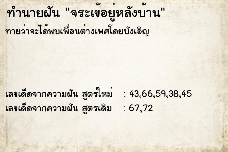 ทำนายฝันจระเข้อยู่หลังบ้าน ทำนายฝันทำนายฝันจระเข้อยู่หลังบ้าน
